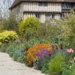 great-dixter-boarder