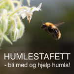 humlebloggstafett