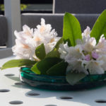 rhododendron-bukett