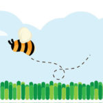 summendehager_banner_820