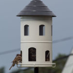 fuglemater-stor-hvit-1