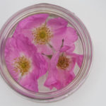 norgesglass-blomster-3