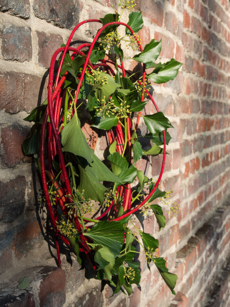 DIY: Wreath of dogwood and ivy