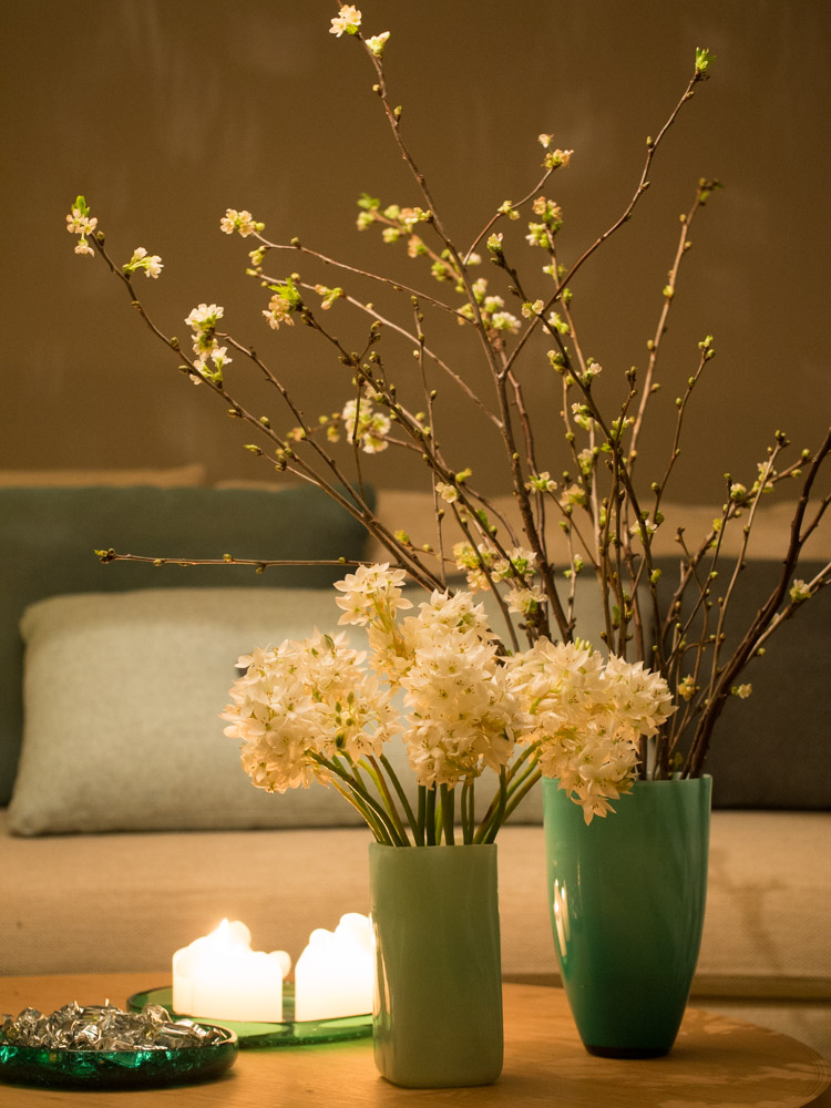 kirsebærgrener og løkblomster i vase