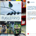 instagram-respons-2