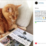 instagram-respons-3