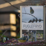 fuglefryd-bok-meiser