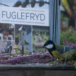 fuglefryd-kjoettmeis-2