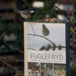 fuglefryd-svartmeis