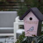 fuglekasse-fuglefryd-fugl