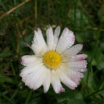 leserbilder-november-4