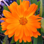 leserbilder-november-8
