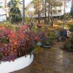novemberhagen
