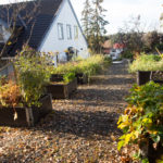 novemberhagen-4