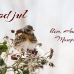 GodJul-15