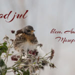 GodJul15