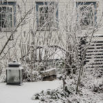 Moseplassen-vinterhage-2