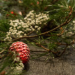 borddekking-julkongle