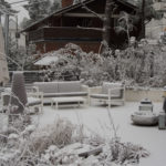 hagen-desember