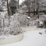 vinterhage