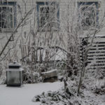 vinterhage-2