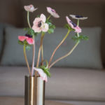 anemone-7