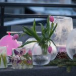 tulipan-vinter