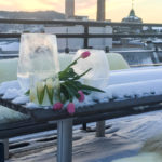 tulipan-vinter-gmn