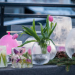 tulipaner-frost