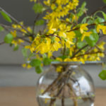 blomster-grener