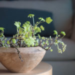 blomster-grener-3