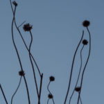 frostender-5