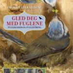 gled-deg-med-fuglene