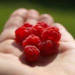 hage-hender-7