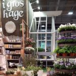 insta-igroshage