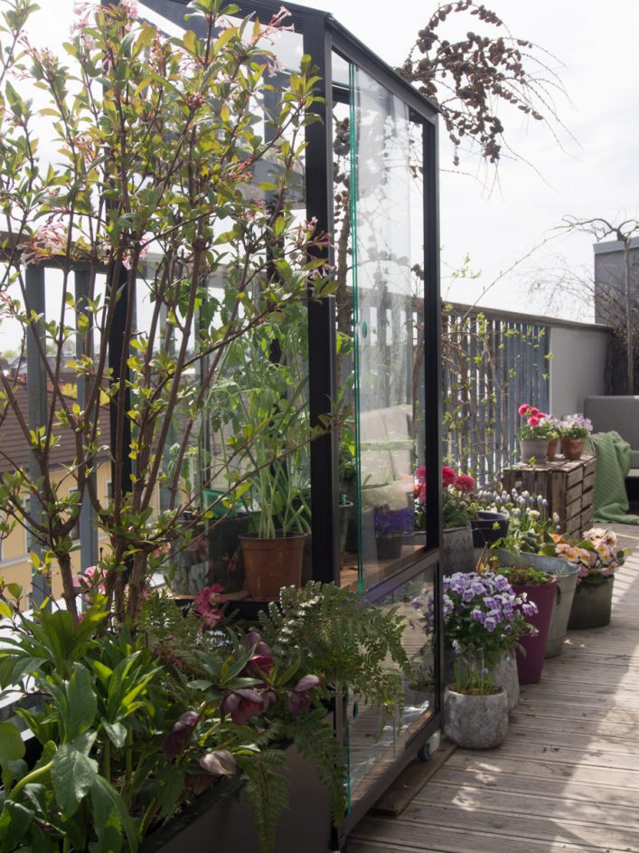 Minidrivhus på balkong, med krukker og planter