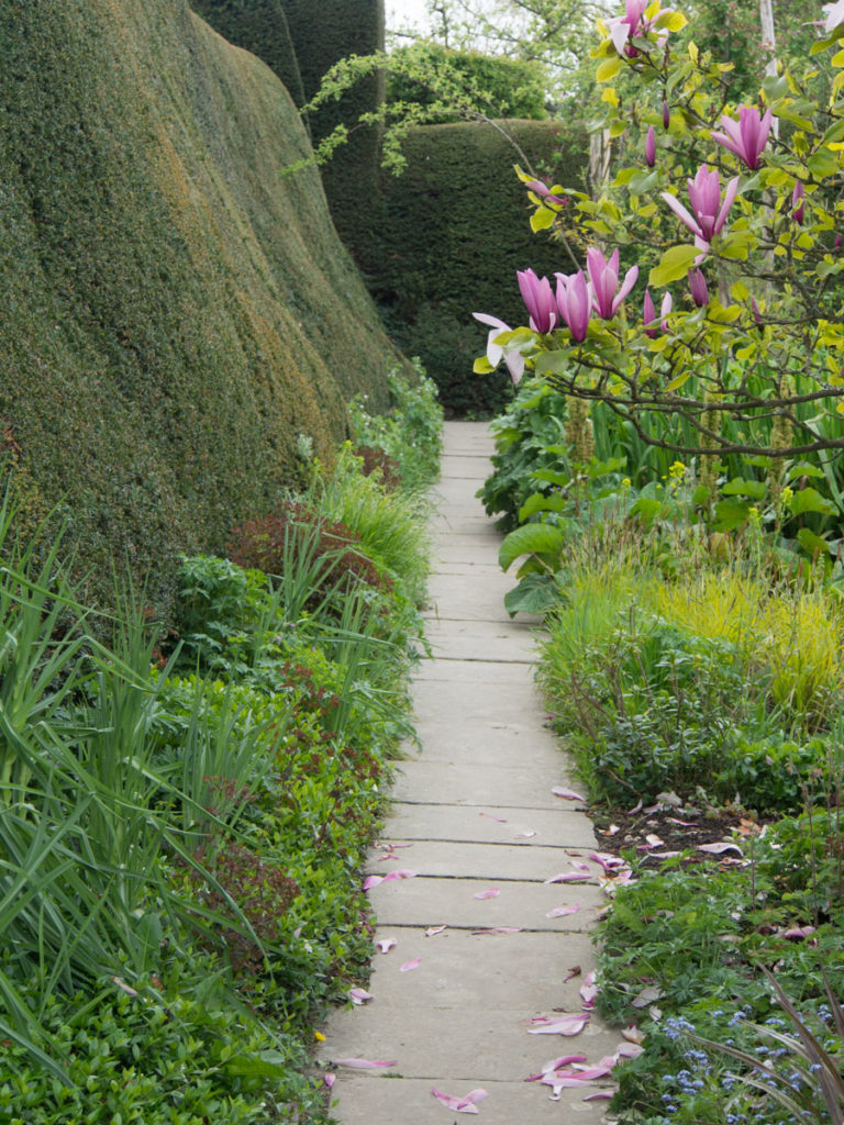 Vakker klippet hekk i Engelsk hage (Great Dixter)