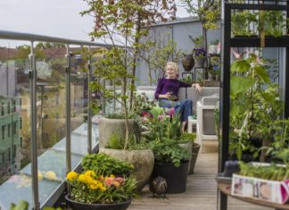 Fotograf Mattis Sandblad, Anne sitter i sofa på balkongen mellom planter