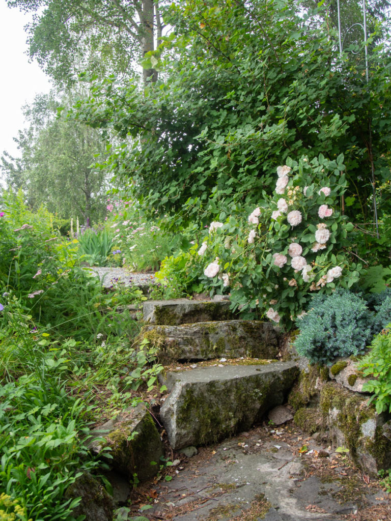 Trapp i sten i besøkshagen til Mjærum gartneri
